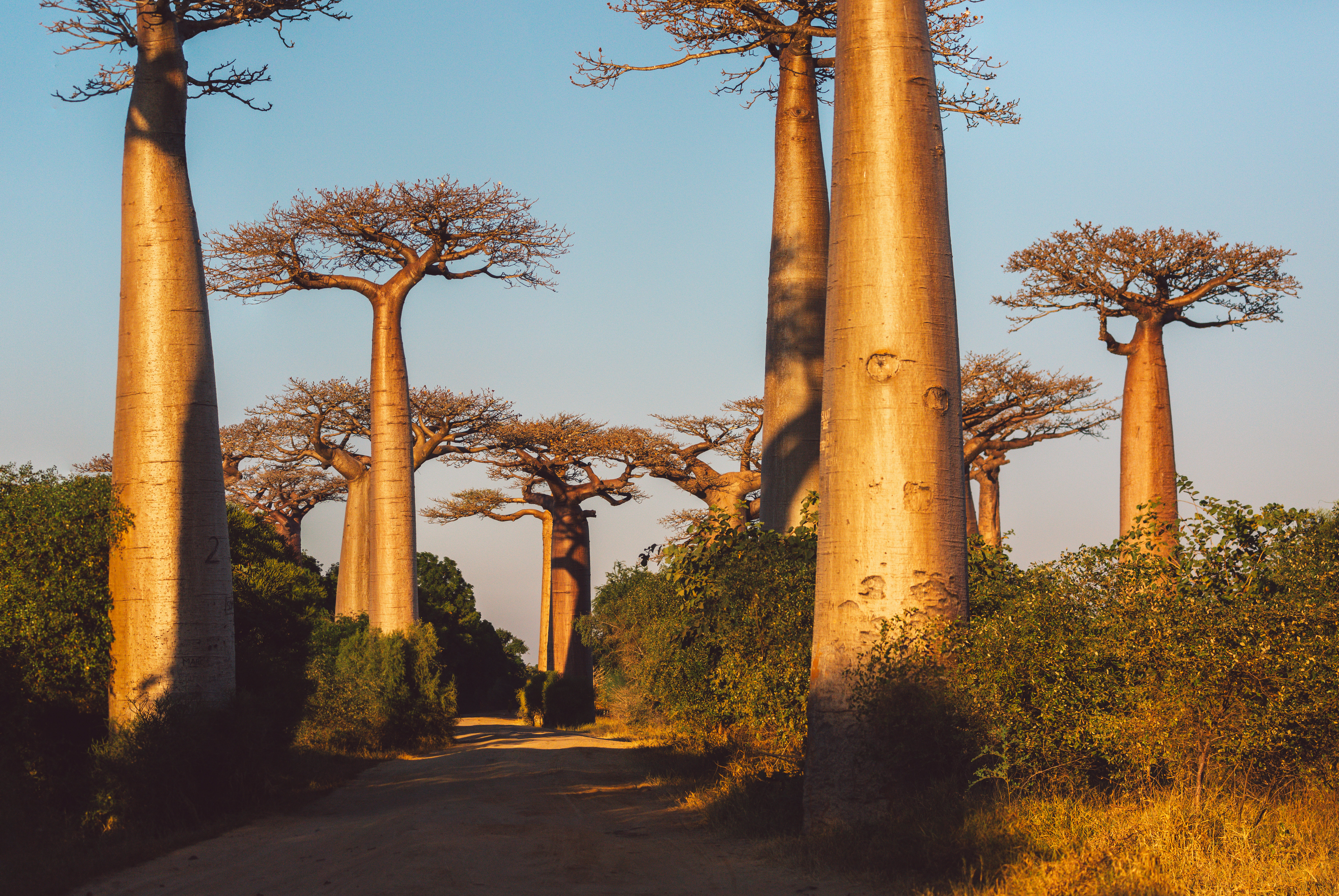 Ancestral Wisdom Retreats